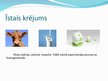 Prezentācija 'Piensaimniecība. Krējums', 6.