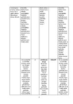 Konspekts 'Tiesības. Teorija', 2.