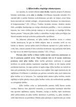 Referāts 'Ķīlas tiesības', 4.