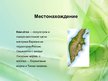 Prezentācija 'Камчатка', 3.