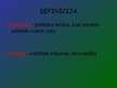 Prezentācija 'Hipiju politiskie uzskati', 22.
