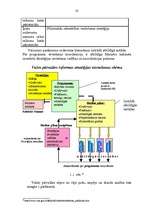 Diplomdarbs 'Latvijas Republikas nodokļu sistēmas pilnveidošana', 23.