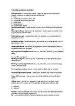 Konspekts 'Mikroekonomikas termini', 1.