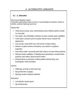 Referāts 'Projektu vadības plāns', 8.