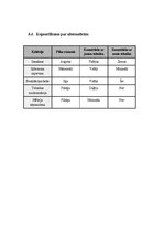 Referāts 'Projektu vadības plāns', 11.