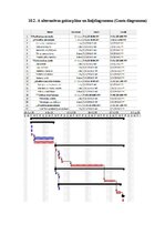 Referāts 'Projektu vadības plāns', 17.