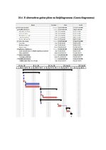 Referāts 'Projektu vadības plāns', 19.