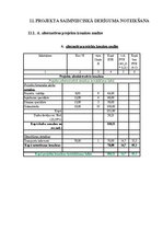 Referāts 'Projektu vadības plāns', 20.