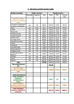 Referāts 'Projektu vadības plāns', 22.