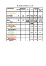 Referāts 'Projektu vadības plāns', 25.