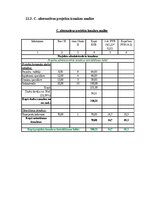 Referāts 'Projektu vadības plāns', 26.