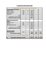 Referāts 'Projektu vadības plāns', 27.