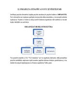Referāts 'Projektu vadības plāns', 29.