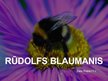 Prezentācija 'Rūdolfa Blaumaņa noveles', 1.