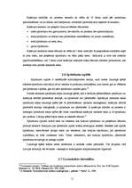 Referāts 'Kriminālprocesa stadijas un to raksturojums', 11.