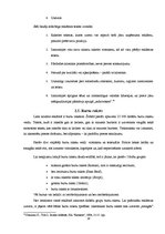 Referāts 'Reklāmu vizuālā noformējuma psiholoģiskā ietekme', 16.