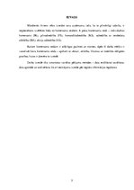 Referāts 'Komersantu veidi', 3.