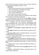 Referāts 'Apdrošināšana', 11.