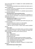 Referāts 'Apdrošināšana', 13.