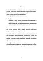 Referāts 'Kredītu veidi un riski', 5.