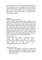 Referāts 'Kredītu veidi un riski', 7.