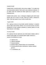 Referāts 'Kredītu veidi un riski', 14.