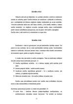 Referāts 'Kredītu veidi un riski', 15.