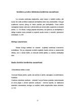 Referāts 'Kredītu veidi un riski', 17.