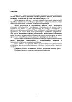 Referāts 'Маркетинговое исследование рынка книжной продукции и перспектив открытия книжног', 3.