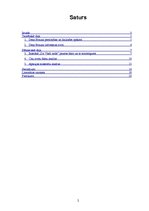 Referāts 'Dena Brauna romāna "Da Vinči kods" faktu patiesums', 2.