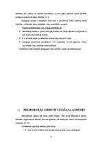 Referāts 'Priekšmetiskās vides pilnveide pirmsskolās', 12.