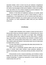 Referāts 'Nanotehnoloģijas - jauna dimensija tehnoloģiju attīstībā', 16.