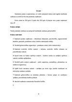 Prakses atskaite 'Prakses atskaite SIA "X"', 4.