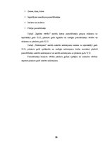 Prakses atskaite 'Prakses atskaite SIA "X"', 28.