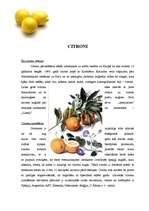Referāts 'Citroni', 1.