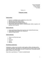 Paraugs 'Ūdeņraža atoms', 1.