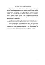 Referāts 'Šašliks', 4.