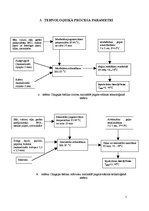 Referāts 'Šašliks', 5.