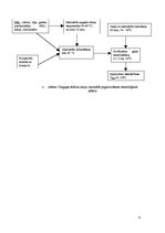 Referāts 'Šašliks', 6.