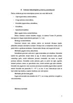 Referāts 'Šašliks', 7.