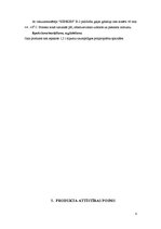 Referāts 'Šašliks', 8.