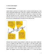 Referāts 'Autotūnings', 1.