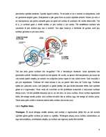Referāts 'Autotūnings', 9.
