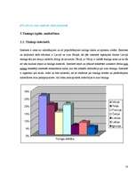 Referāts 'Autotūnings', 18.