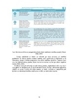 Diplomdarbs 'Fitnesa treniņu process sievietēm ķermeņa kompozīcijas  korekcijai', 15.