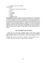 Diplomdarbs 'Fitnesa treniņu process sievietēm ķermeņa kompozīcijas  korekcijai', 58.