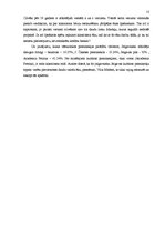 Referāts 'Klasicisma arhitektūra Latvijā, Jelgavā un tās apkārtnē', 13.