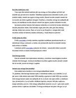 Referāts 'Lursoft IT mārketinga vides un stratēģijas analīze un darbības plānošana', 8.