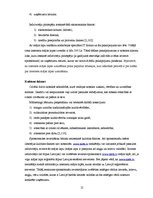 Referāts 'Lursoft IT mārketinga vides un stratēģijas analīze un darbības plānošana', 12.