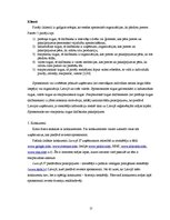 Referāts 'Lursoft IT mārketinga vides un stratēģijas analīze un darbības plānošana', 15.